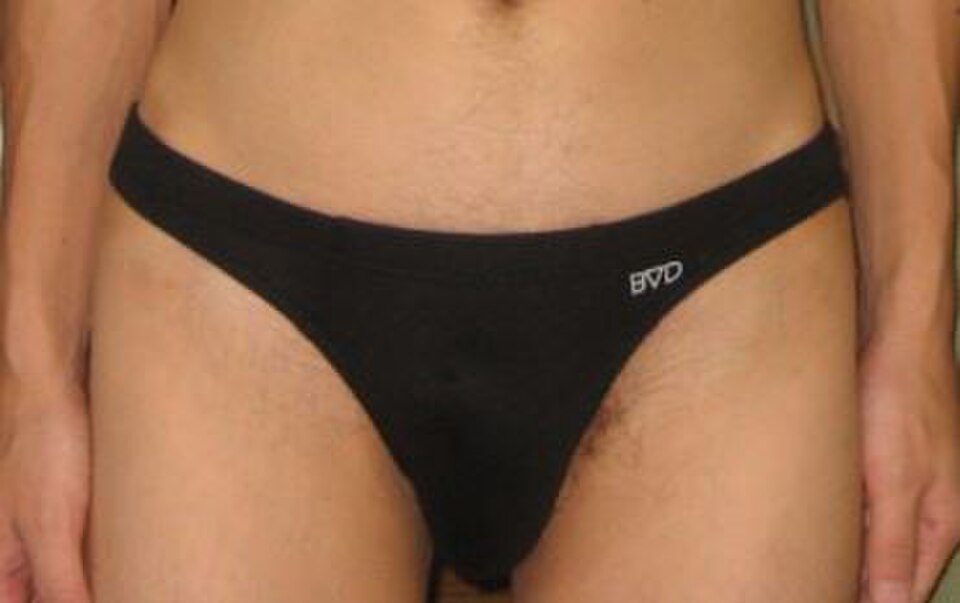 Slip de bikini pour homme.