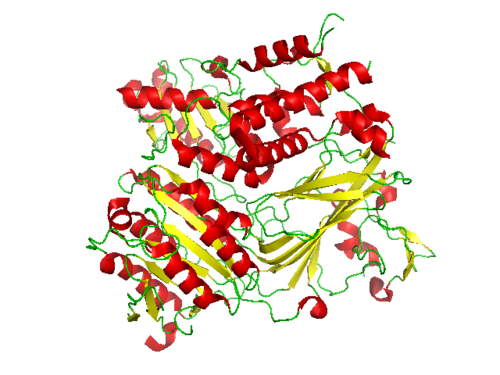Conformation de la protéine CopII complexée avec la protéine snare Sed5 (PDB : 1PD0​).[8]