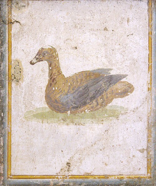 Canard, fresque romaine de la Villa Arianna, Musée de Naples