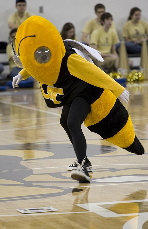 Une personne portant un costume ressemblant à une veste jaune, comprenant une chemise noire avec le logo GT entrelacé jaune, fait tourner un cadran sur le sol en bois d'un gymnase.