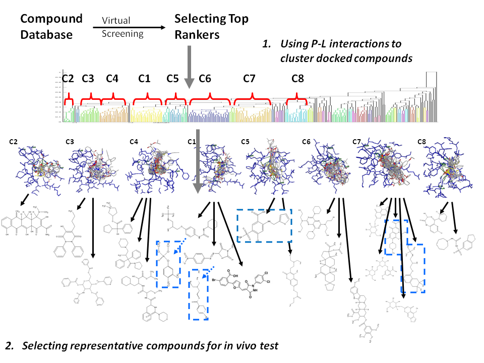 Organigramme d'une analyse de clustering courante pour la conception de médicaments basée sur la structure
