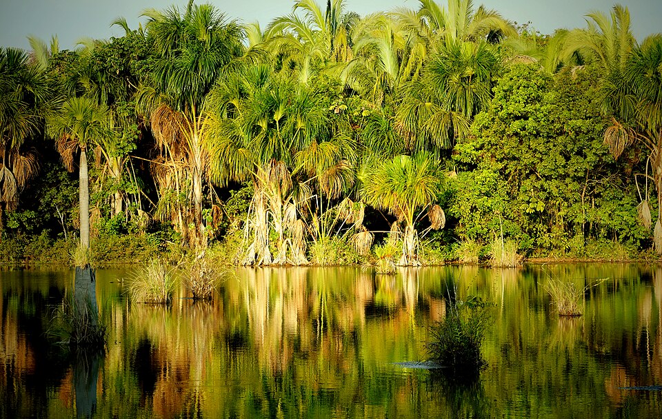 Lagune d'Araras