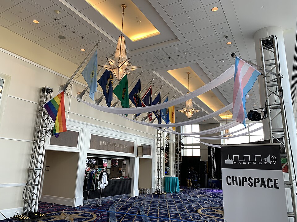 Espace de puces (MAGFest 2020)