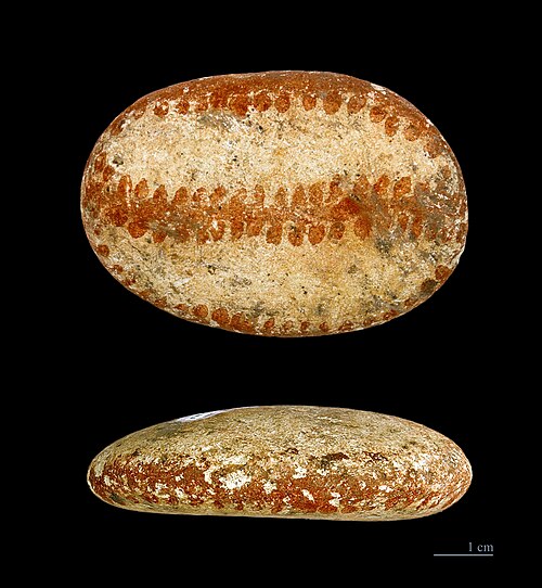 Galet peint – Mas d'Azil – Musée de Toulouse