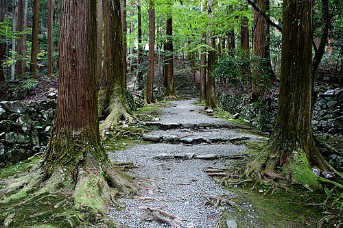 Le sandō de Kōzan-ji, Kyoto