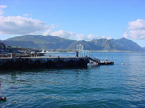 Le nouveau port d'Hermanus