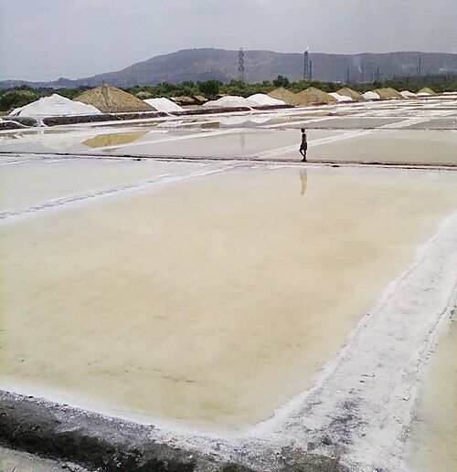 Saline, Wadala Est