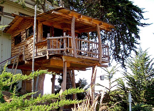 Cabane dans les arbres construite pour les enfants