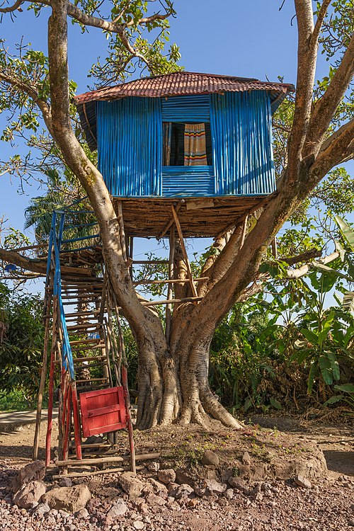 Une cabane dans les arbres à Bahir Dar, en Ethiopie