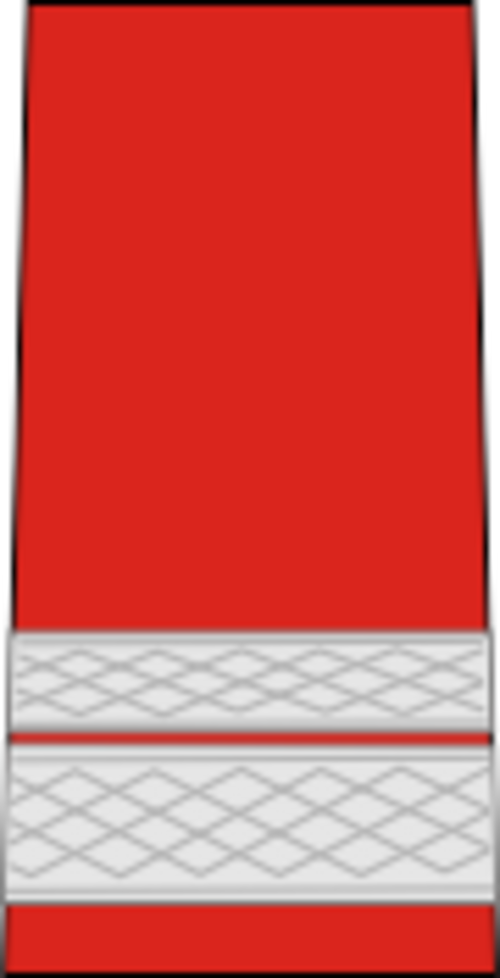 Sergent-major (Forces terrestres roumaines)[35]