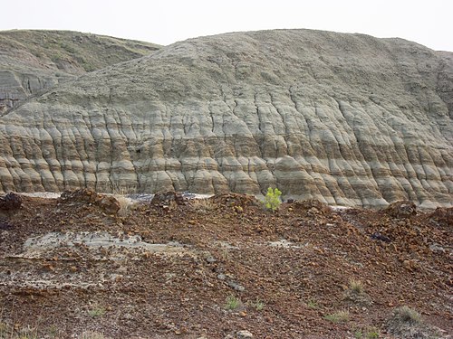 Les formations sédimentaires bien stratifiées et entièrement exposées du parc provincial Dinosaur, en Alberta, au Canada, s'étendent sur de vastes zones, exposant des éons d'histoire rocheuse à travers de nombreuses couches de strates exposées au vent et à l'eau