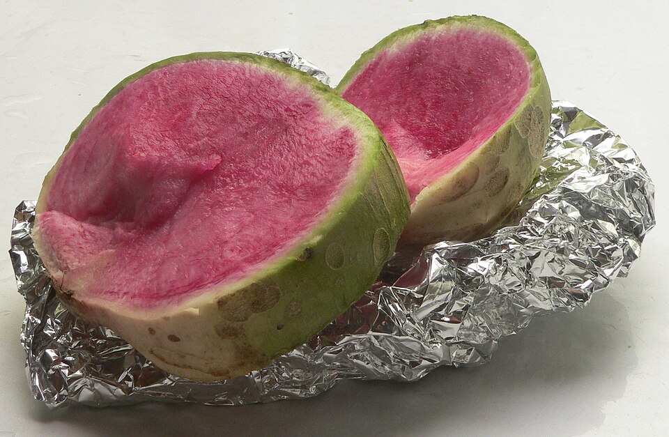 Radis pastèque