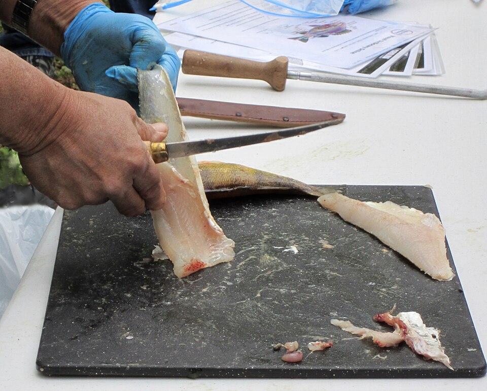 Démonstration de filetage de poisson