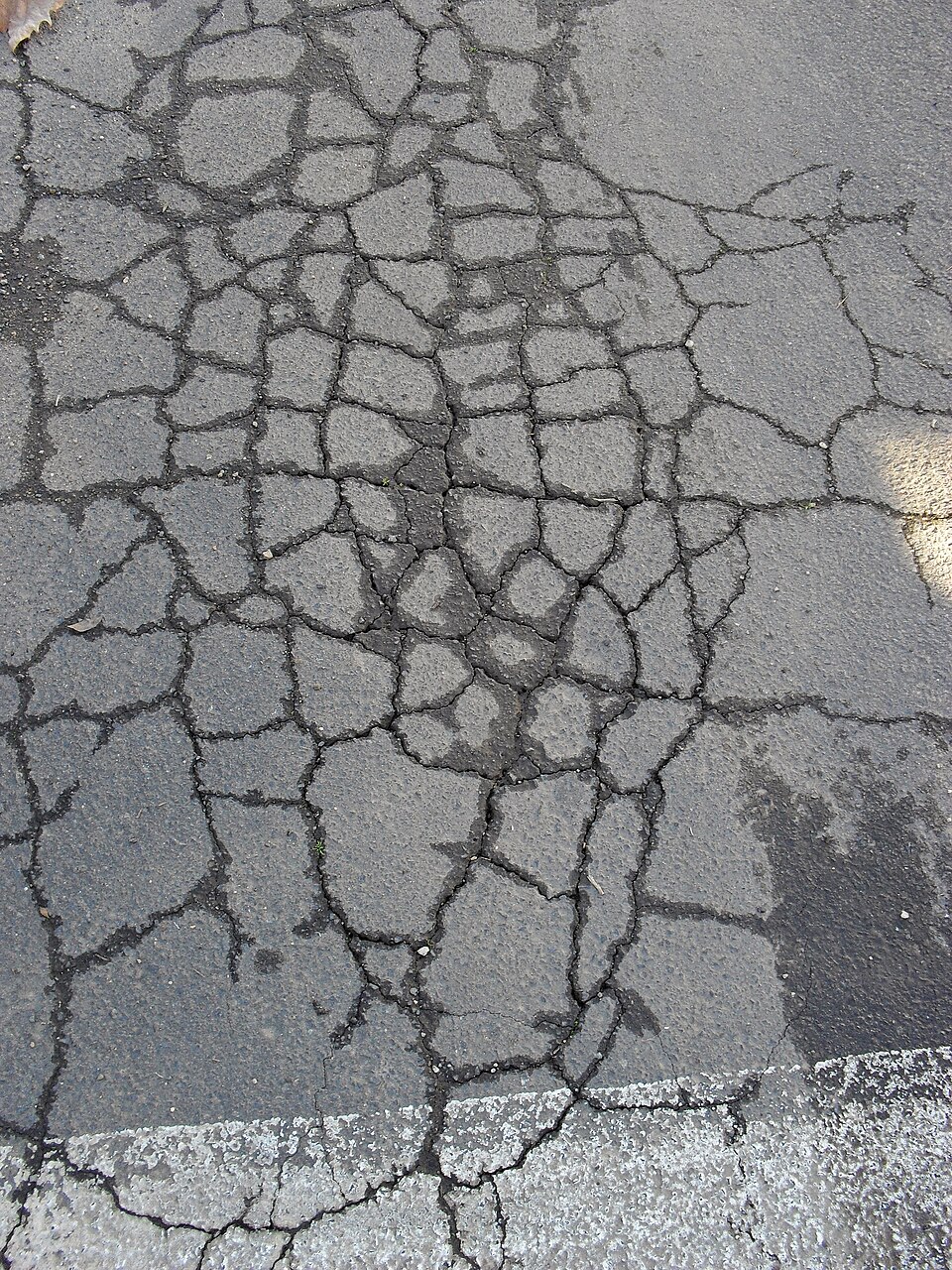 Des fissures en forme de crocodile, révélant des infiltrations d'humidité, indiquent une structure du sol fragilisée sous l'asphalte endommagé.