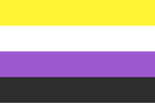 Drapeau de la fierté non binaire, composé de quatre bandes horizontales, qui sont, de haut en bas, jaune, blanche, violette et noire.