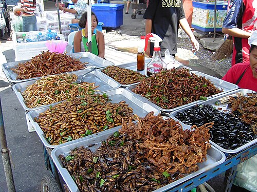 Grands paniers d'insectes et de scorpions sur un marché.