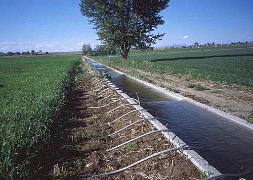 Irrigation des grandes cultures