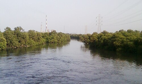 Jardin de mangrove, Wadala Est