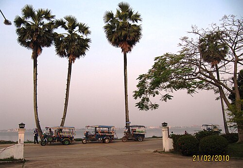 Tuktuks et palmiers sur la rive du Mékong à Thakhek, Laos