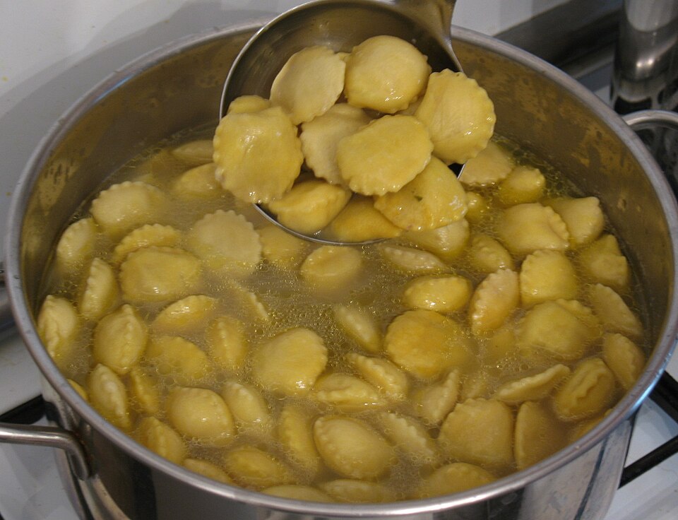 Anolini dans le bouillon