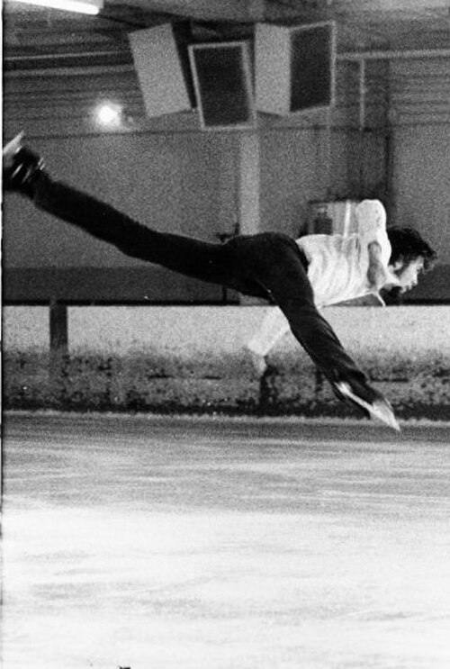 Le chameau volant (Robert Bradshaw)
