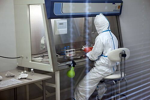 Une personne en tenue de laboratoire blanche est assise devant une enceinte rigide et transparente.