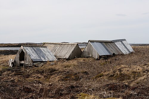Nichoirs traditionnels pour eiders à duvet fabriqués par l'homme