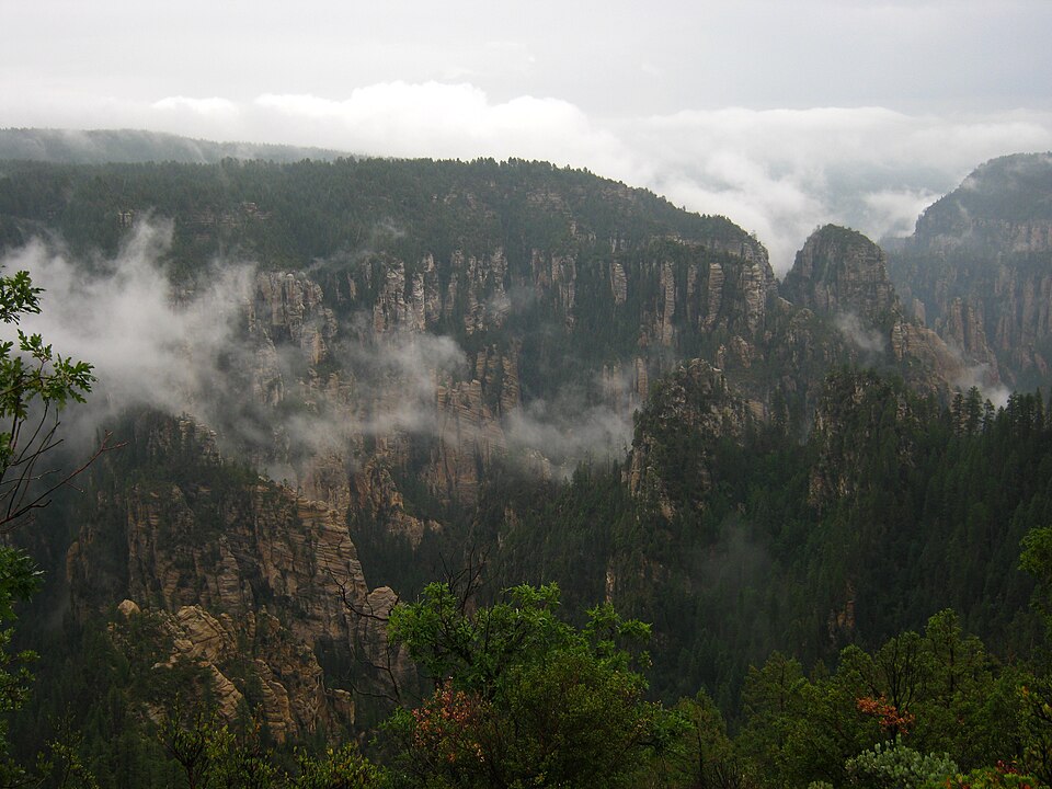 Le canyon des sycomores