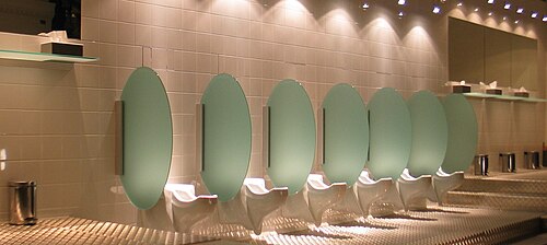 Urinoirs conçus pour les femmes