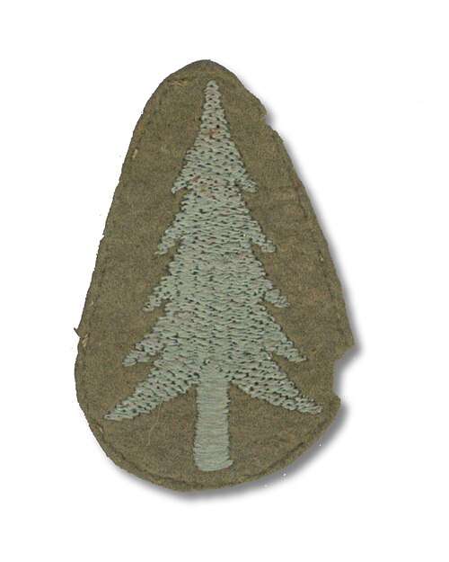 Variante SSI pour la 91e division d'infanterie pendant la Seconde Guerre mondiale