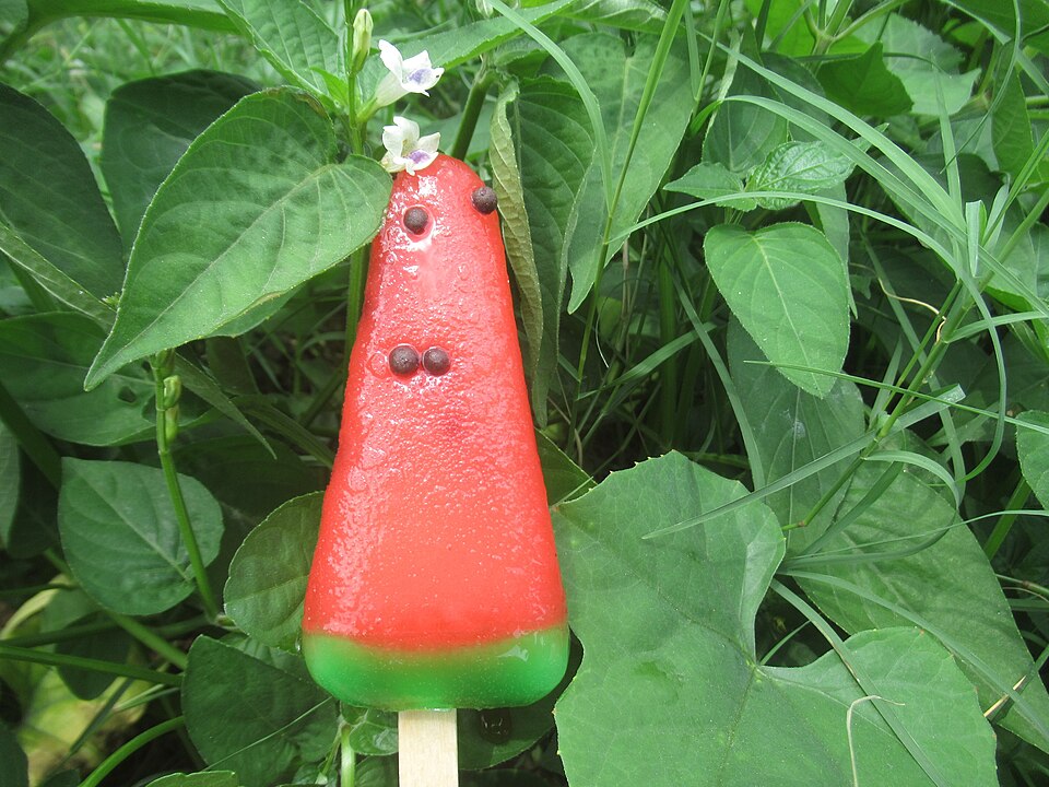 Glace à l'eau