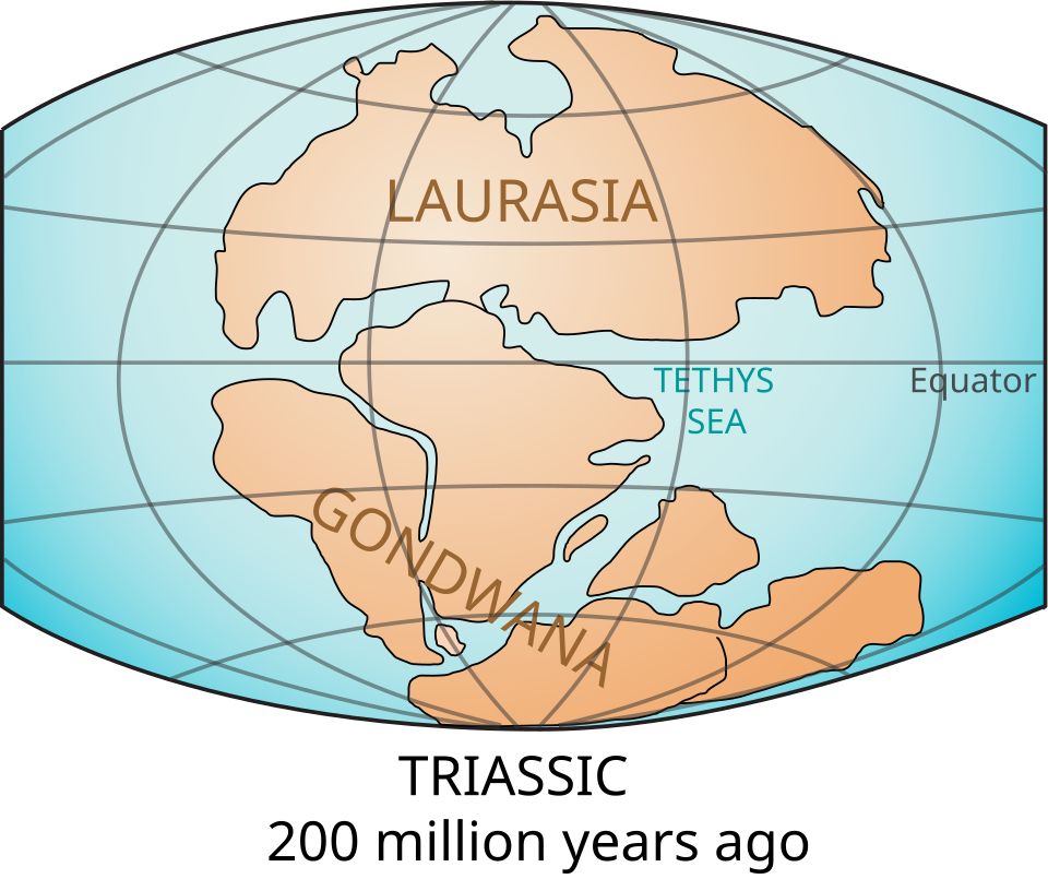 Carte du monde montrant les continents il y a environ 200 millions d'années (période triasique)