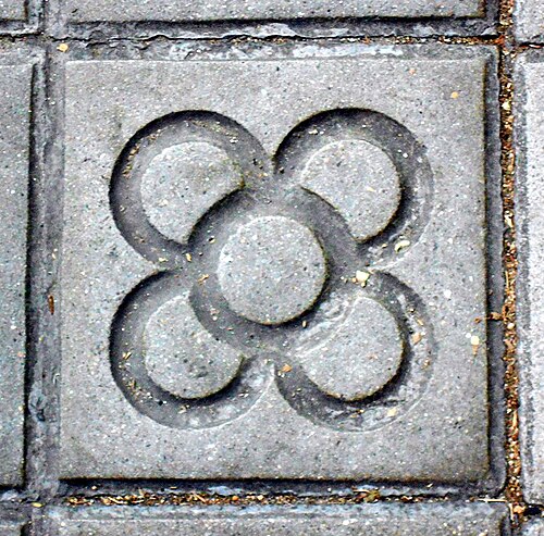 Conception de Flor de Barcelona