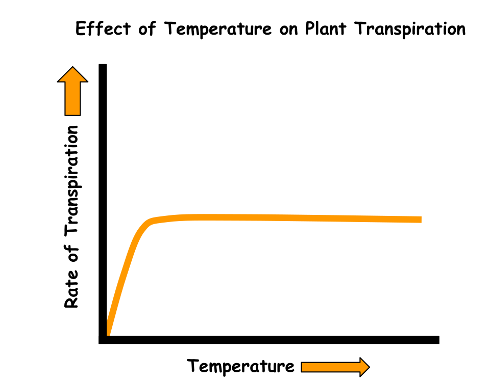 L'effet de la température sur le taux de transpiration des plantes.