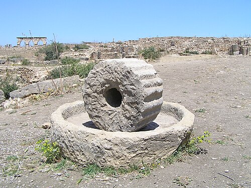 Moulin à trituration avec meule verticale - Volubilis