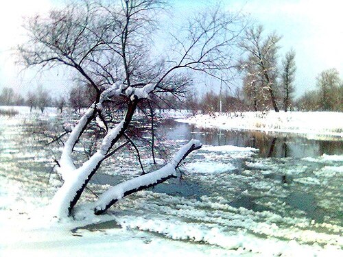 Hiver