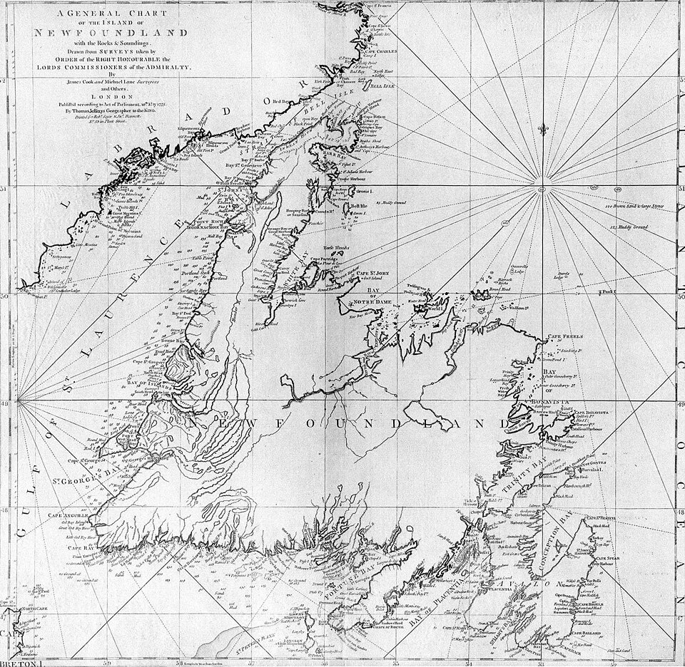 Une carte détaillée et de grande taille de Terre-Neuve
