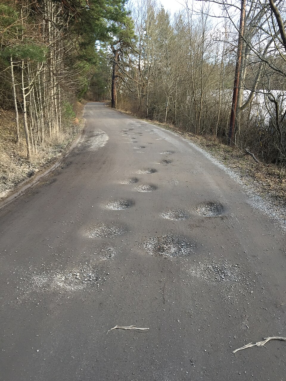 Nids-de-poule sur une route non pavée en Suède
