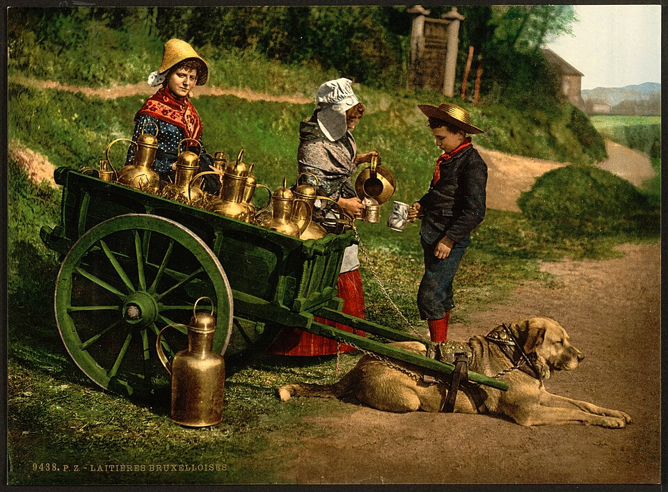 Photochromie de colporteurs de lait belges avec une charrette à chien, vers 1890-1900