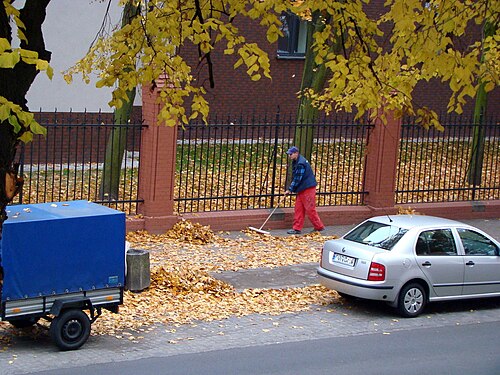 Nettoyage du trottoir des feuilles tombées.