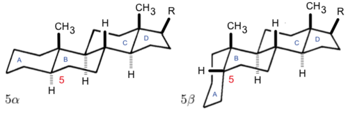 Diagramme chimique