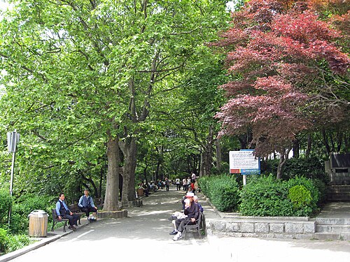 Une promenade dans le parc Jayu
