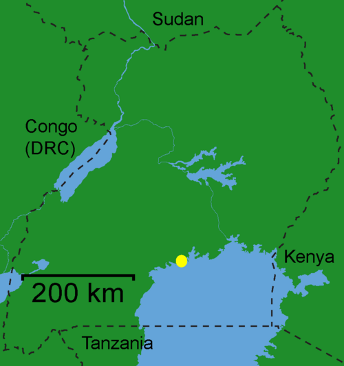Entebbe se trouve sur la rive nord du lac Victoria