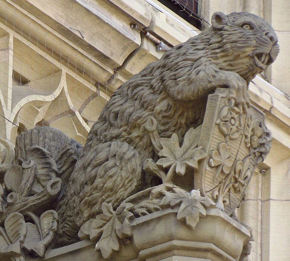 Sculpture en pierre d'un castor au-dessus d'une entrée de l'édifice du Parlement du Canada