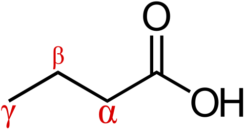 Formule squelettique de l'acide butyrique avec les carbones alpha, bêta et gamma marqués