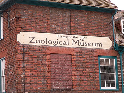 Panneau indiquant le Musée zoologique