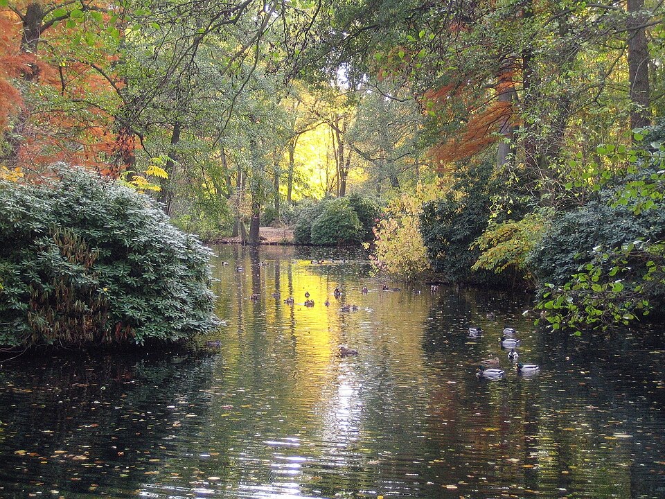 Inside Tiergarten (park)