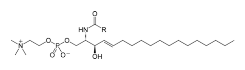 Formule squelettique de la sphingomyéline