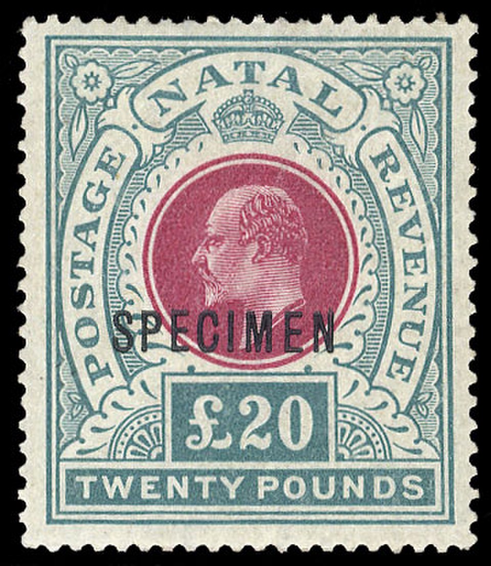 Natal, 1902 : Spécimen pour un timbre de 20 £