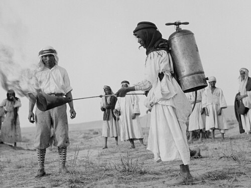 Préparation à la chasse aux sauterelles en Palestine, 1915